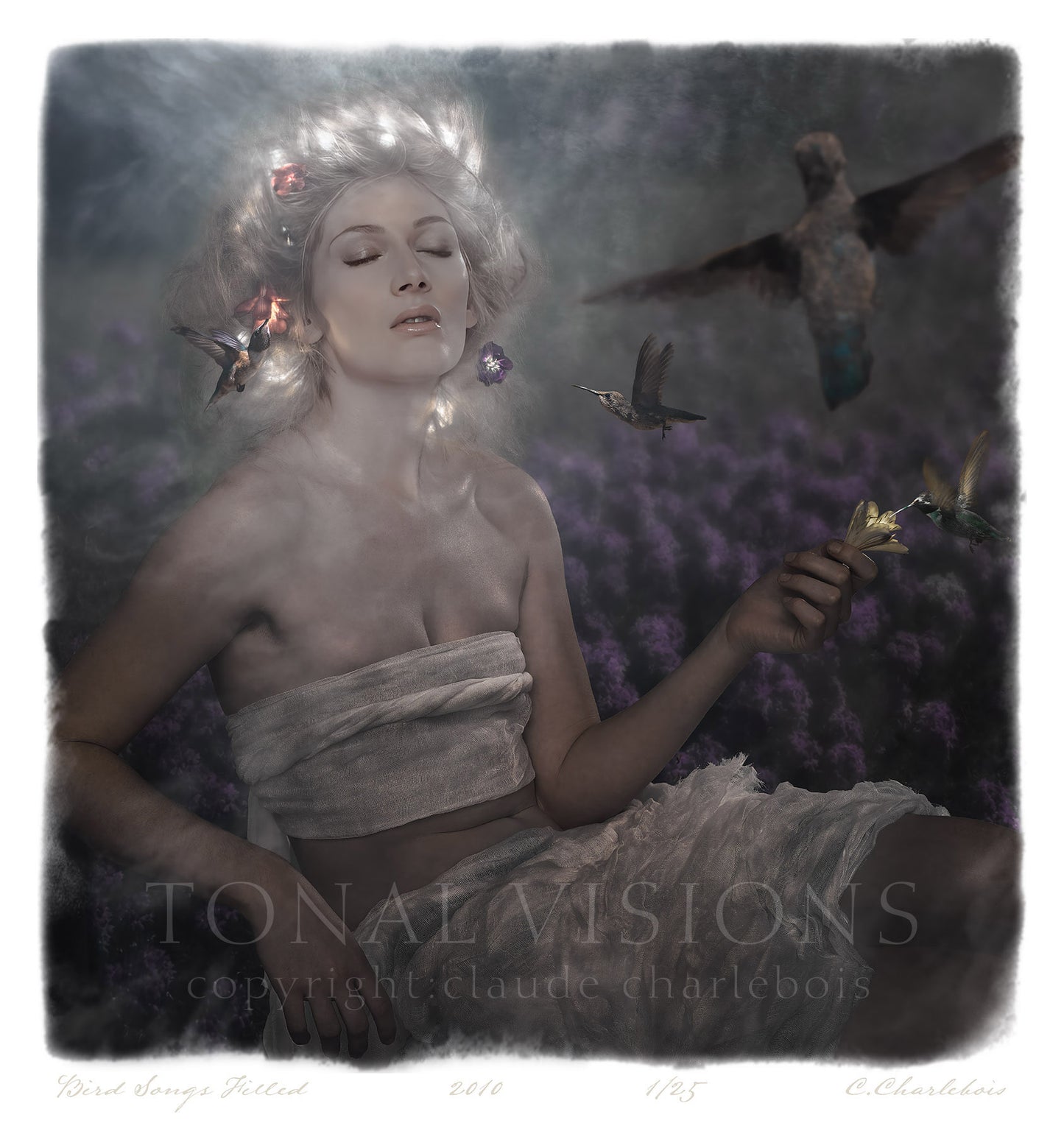 Bird Songs Filled (Limited Edition)
