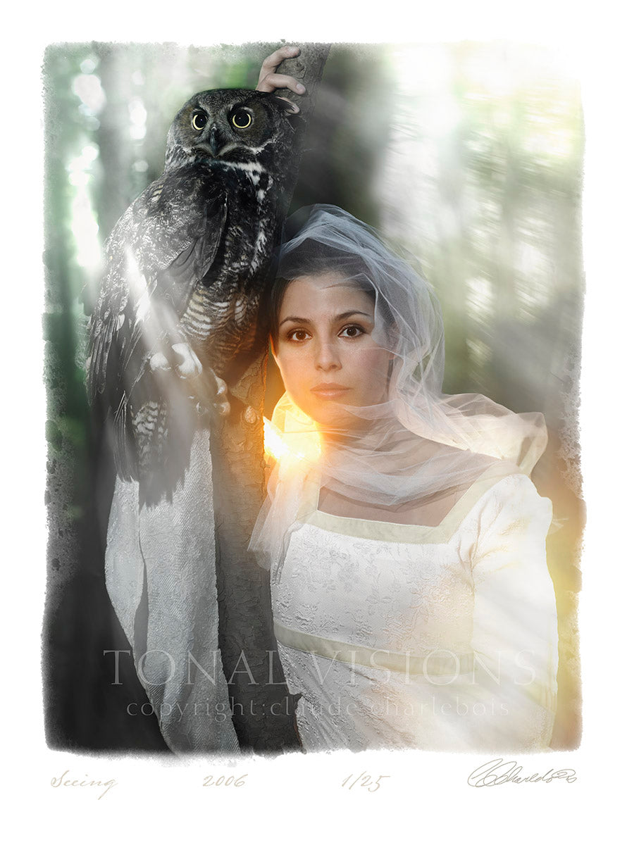 Seeing (Limited Edition)